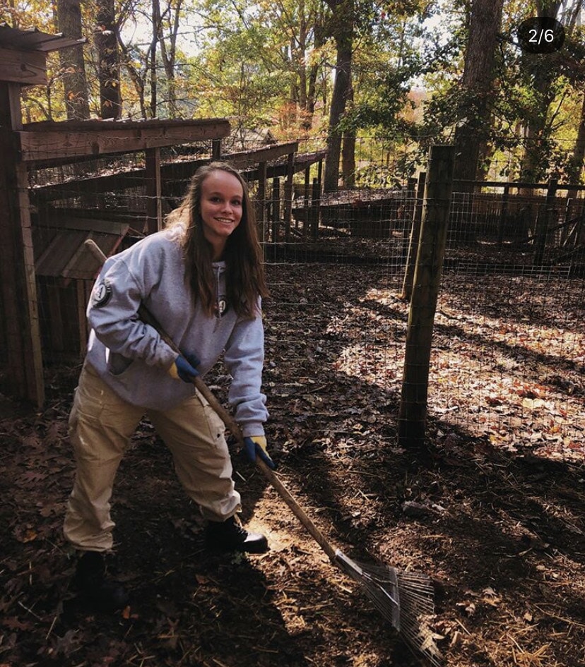 Woman raking